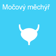mocovy_mechyr