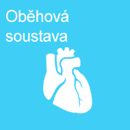 obehova_soustava